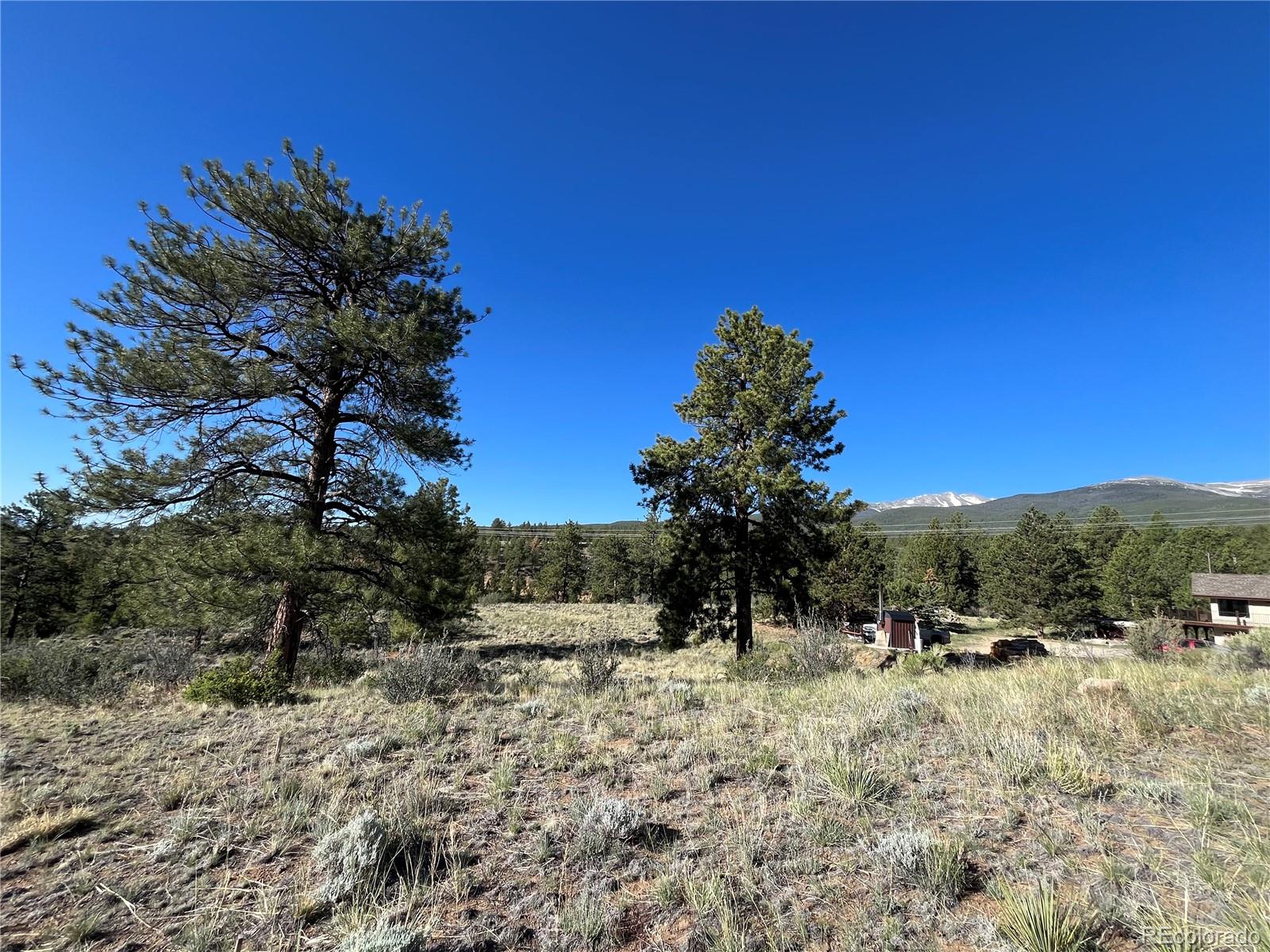18322 S Lake Road Buena Vista CO 81211