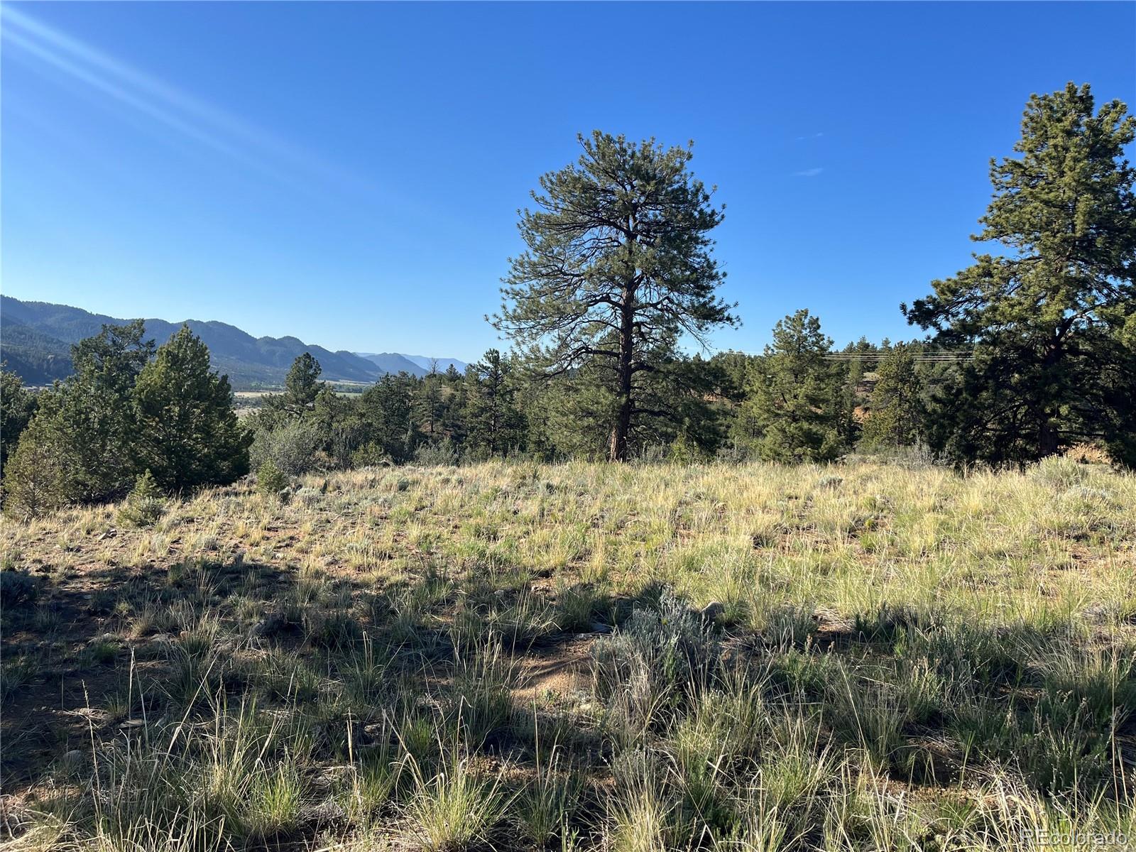 18322 S Lake Road Buena Vista CO 81211