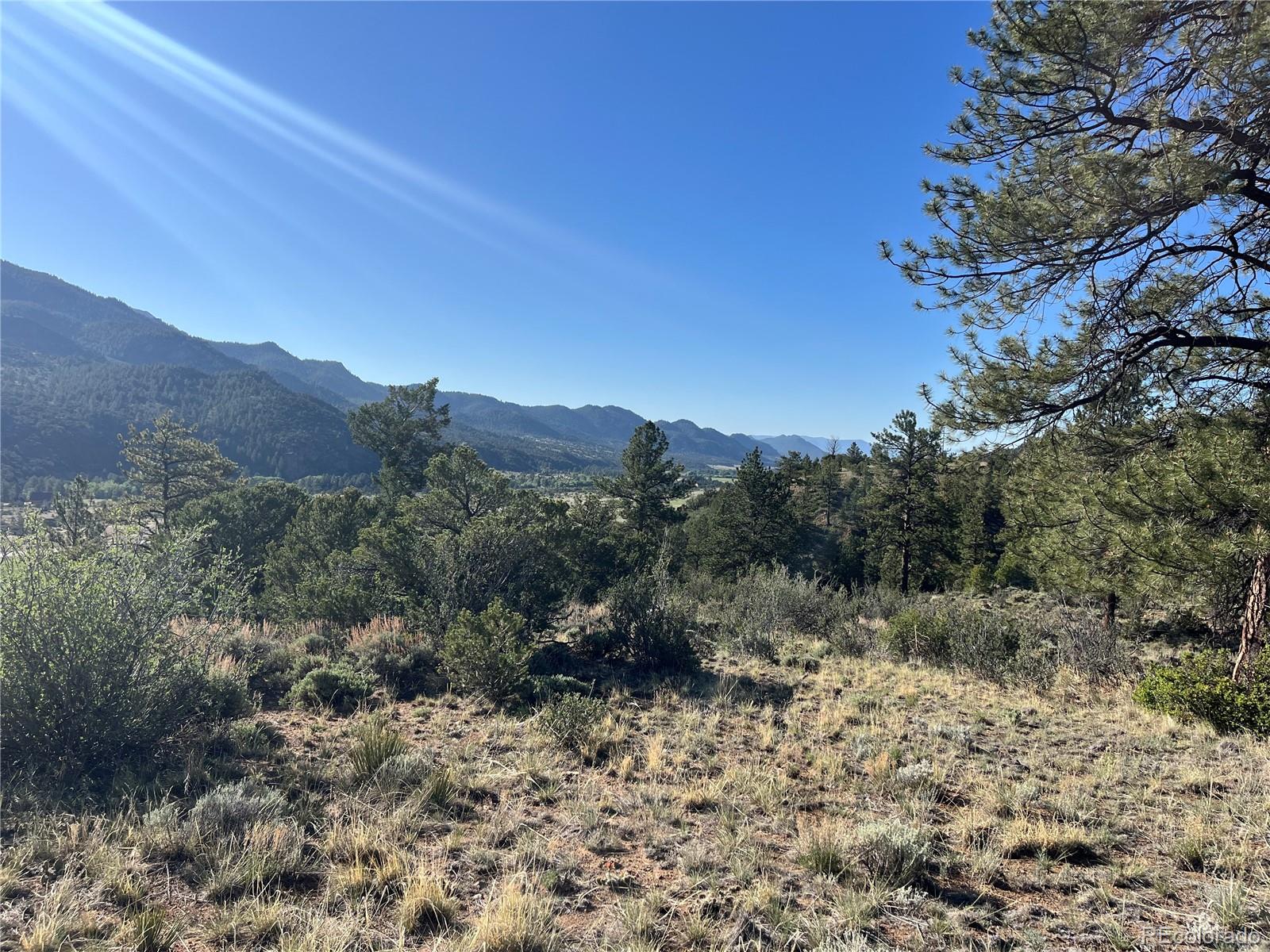18322 S Lake Road Buena Vista CO 81211