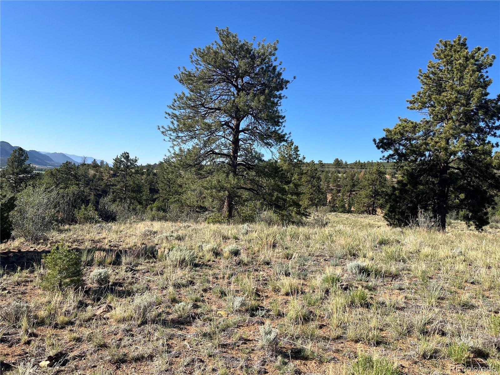 18322 S Lake Road Buena Vista CO 81211