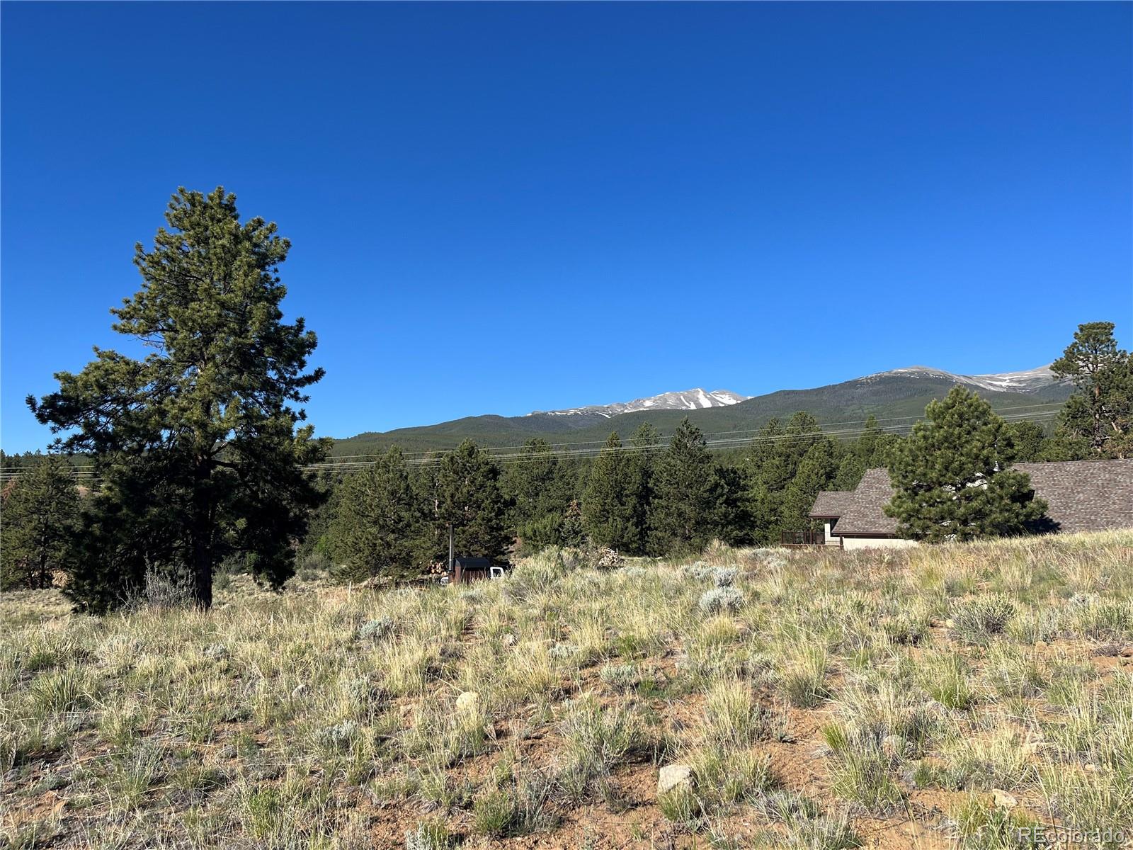 18322 S Lake Road Buena Vista CO 81211