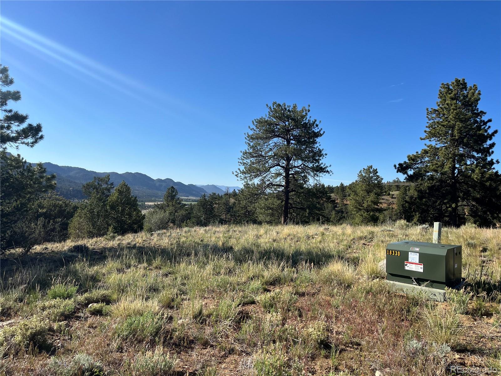 18322 S Lake Road Buena Vista CO 81211