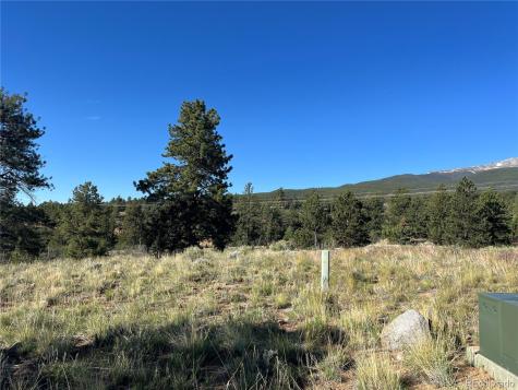 18322 S Lake Road Buena Vista CO 81211