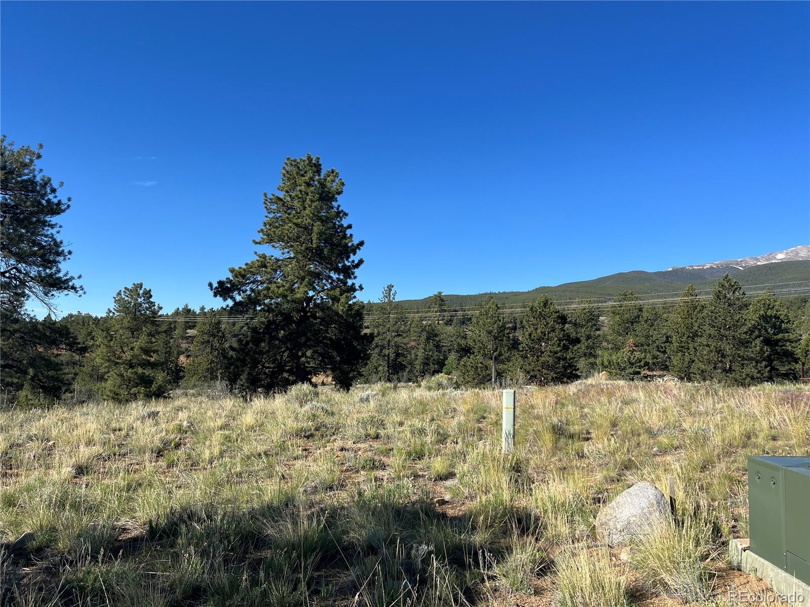 18322 S Lake Road Buena Vista CO 81211