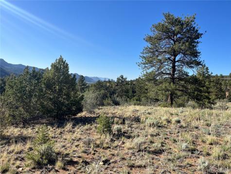 18322 S Lake Road Buena Vista CO 81211