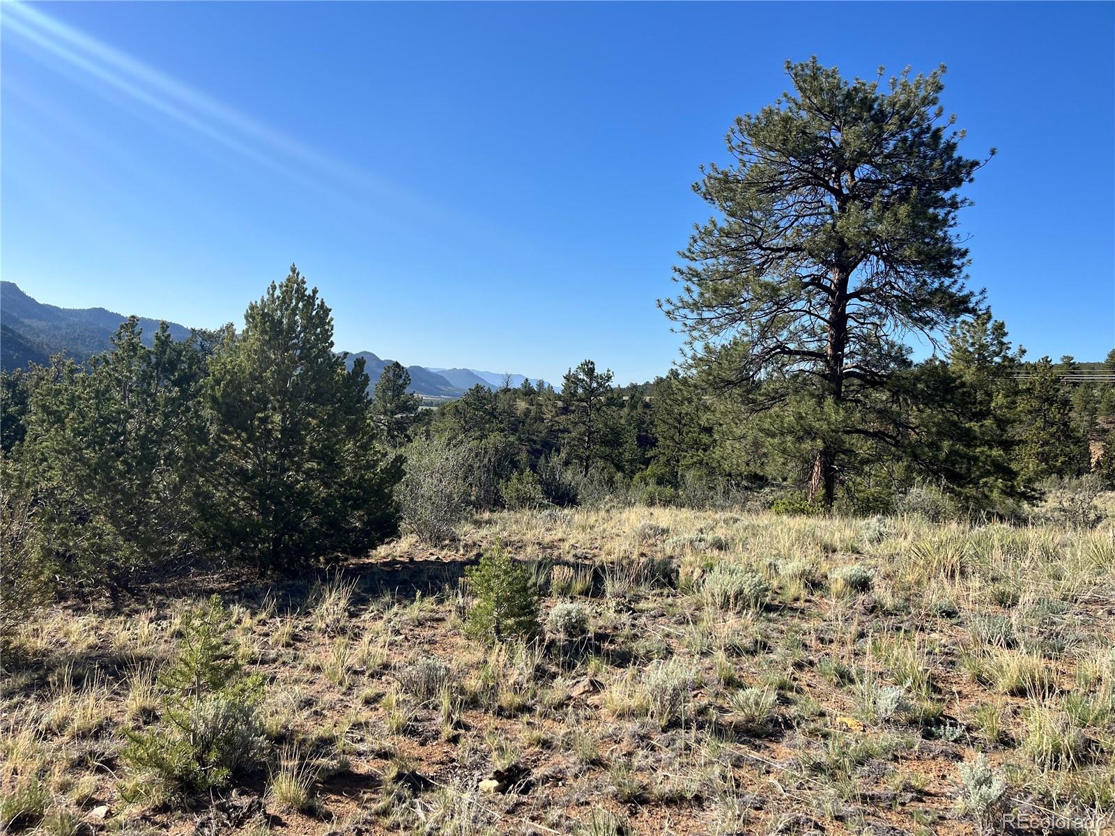 18322 S Lake Road Buena Vista CO 81211
