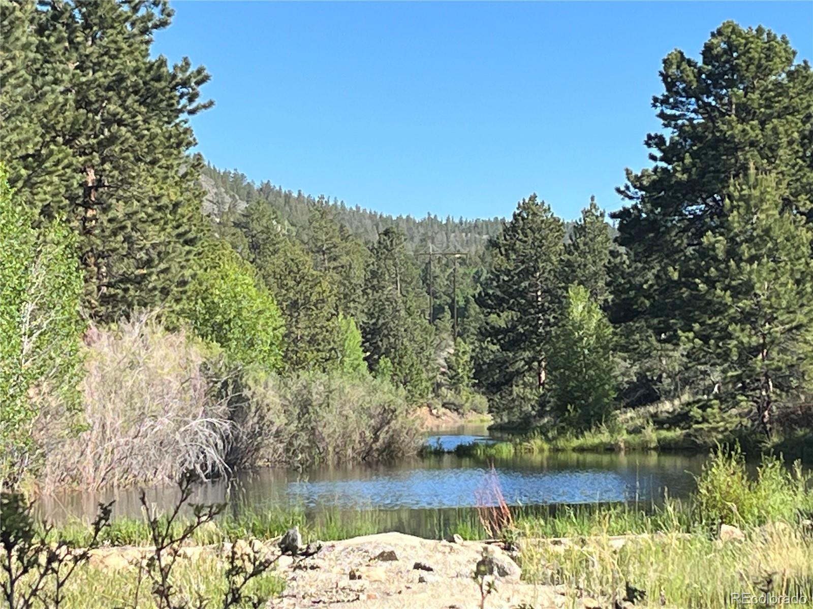 18322 S Lake Road Buena Vista CO 81211