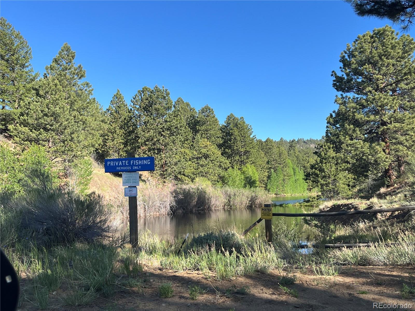 18322 S Lake Road Buena Vista CO 81211