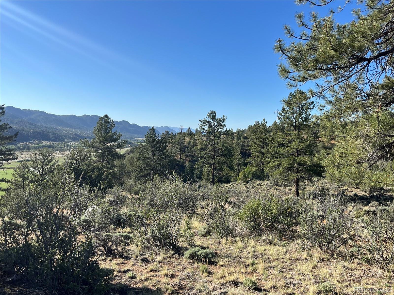 18322 S Lake Road Buena Vista CO 81211