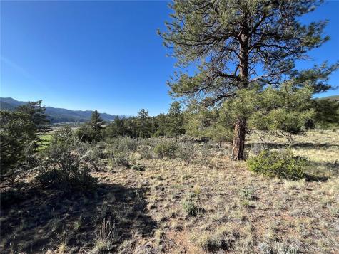 18322 S Lake Road Buena Vista CO 81211