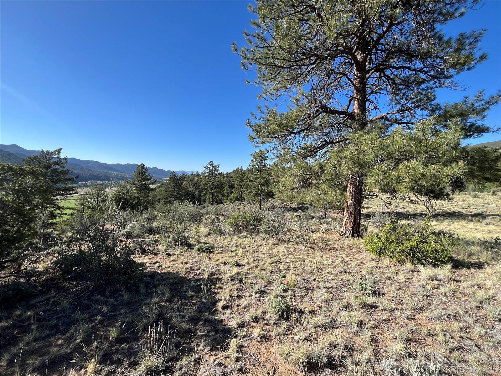 18322 S Lake Road Buena Vista CO 81211