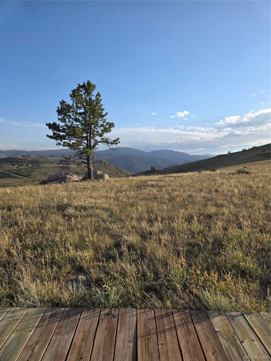 443 Meadow Mountain Drive Livermore CO 80536