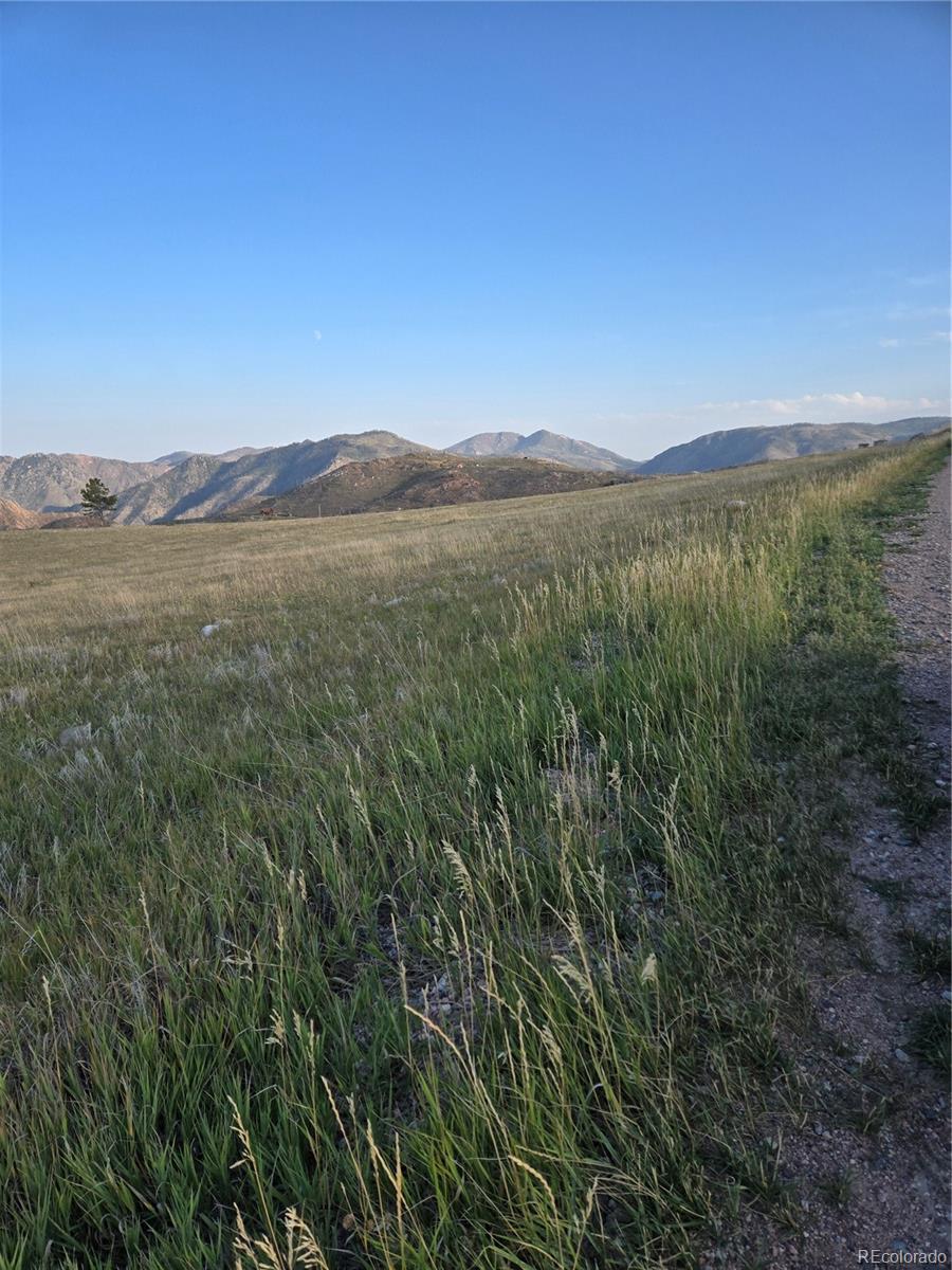 443 Meadow Mountain Drive Livermore CO 80536