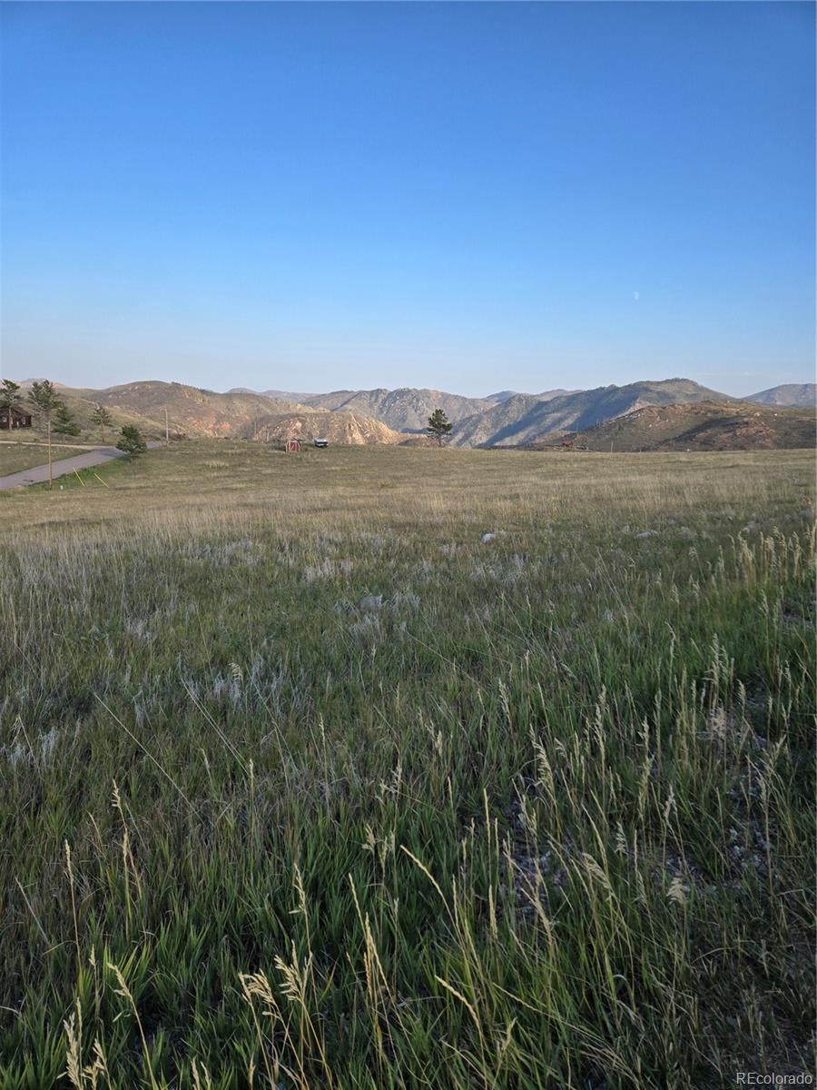 443 Meadow Mountain Drive Livermore CO 80536