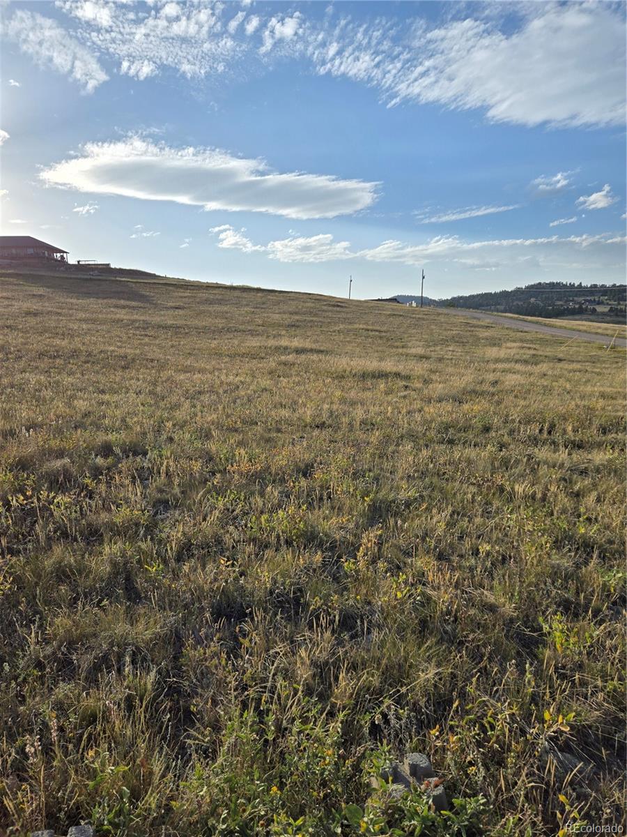 443 Meadow Mountain Drive Livermore CO 80536