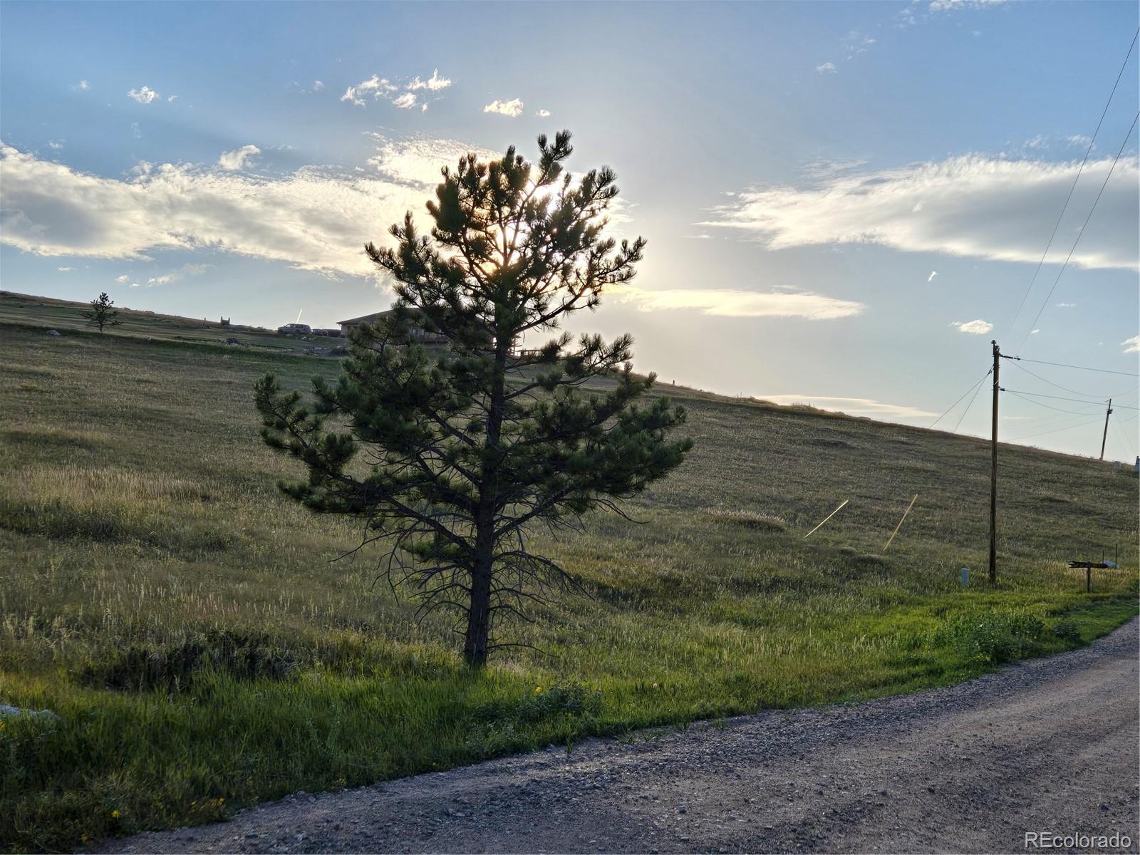 443 Meadow Mountain Drive Livermore CO 80536