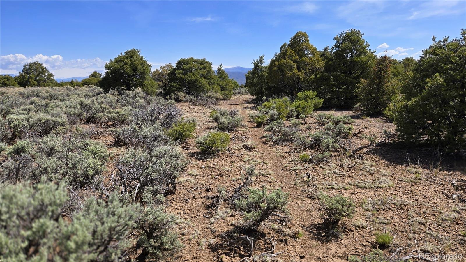 000 Moonlight Way San Luis CO 81152