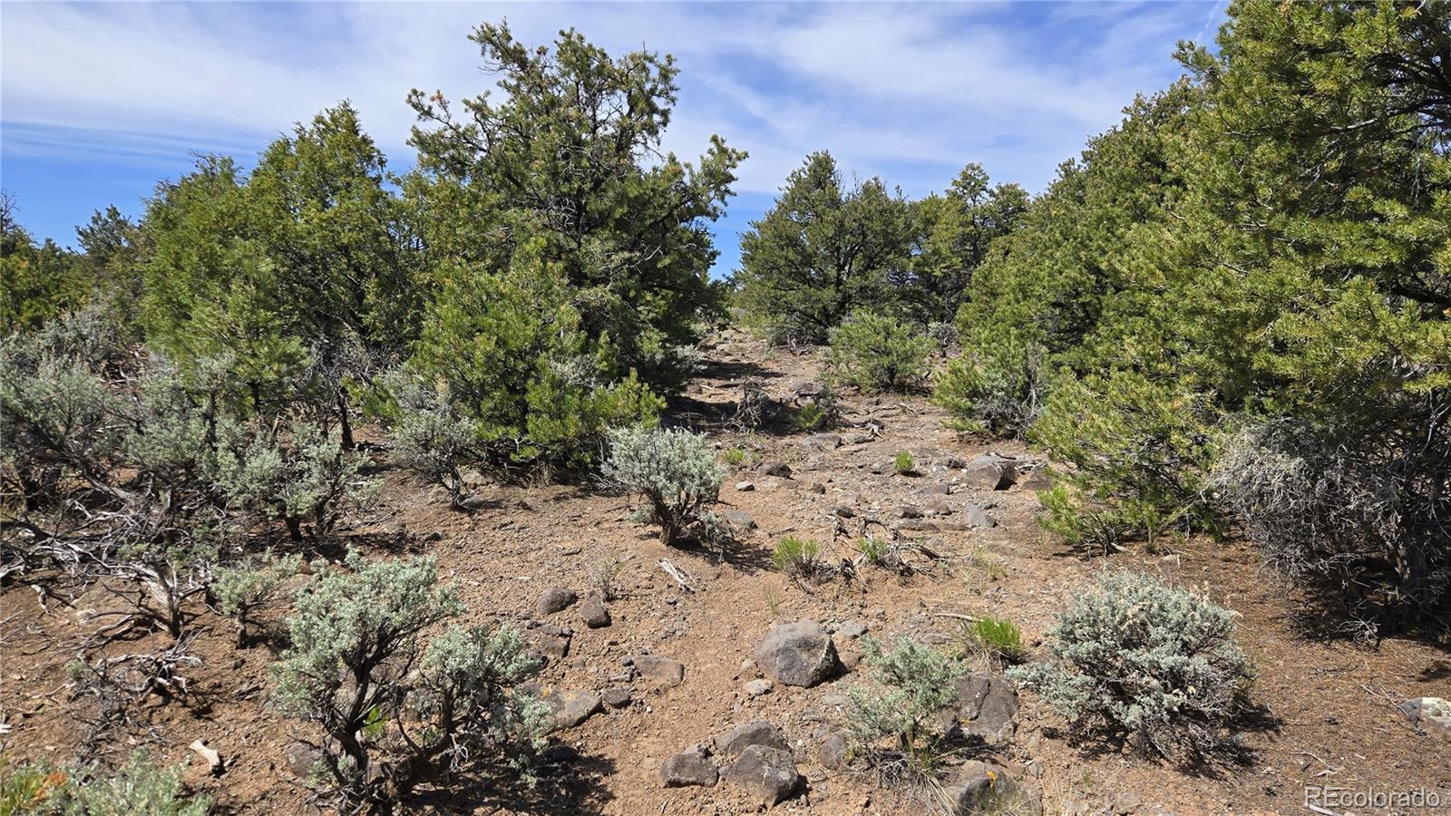 000 Moonlight Way San Luis CO 81152