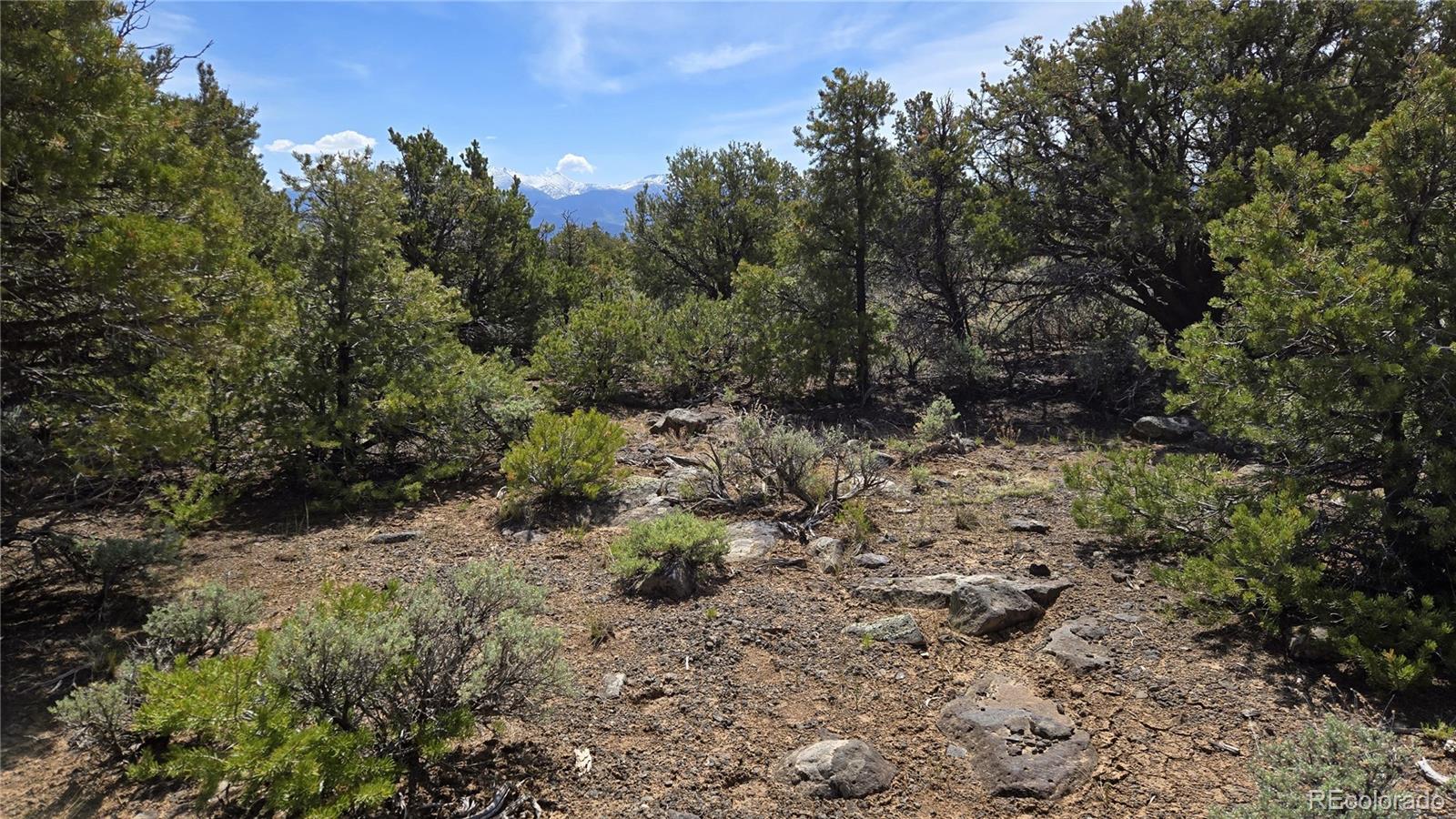 000 Moonlight Way San Luis CO 81152