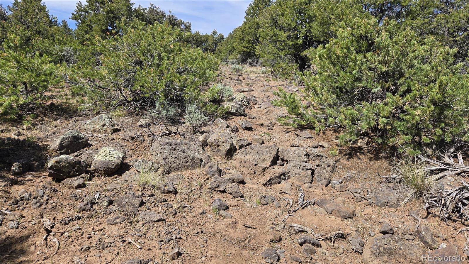 000 Moonlight Way San Luis CO 81152
