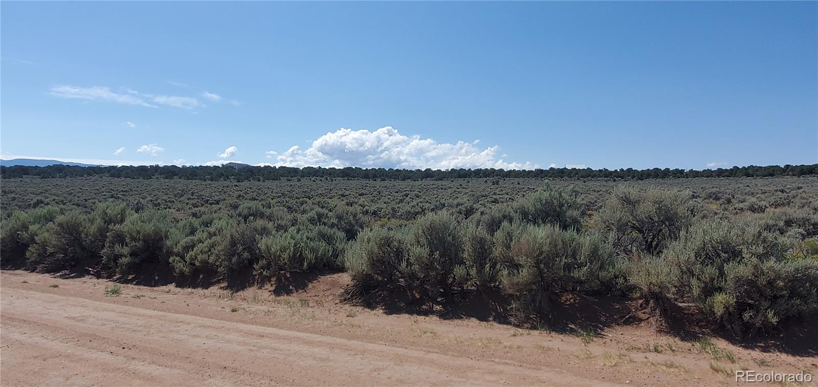 Lot 3392 Norton Road Fort Garland CO 81133