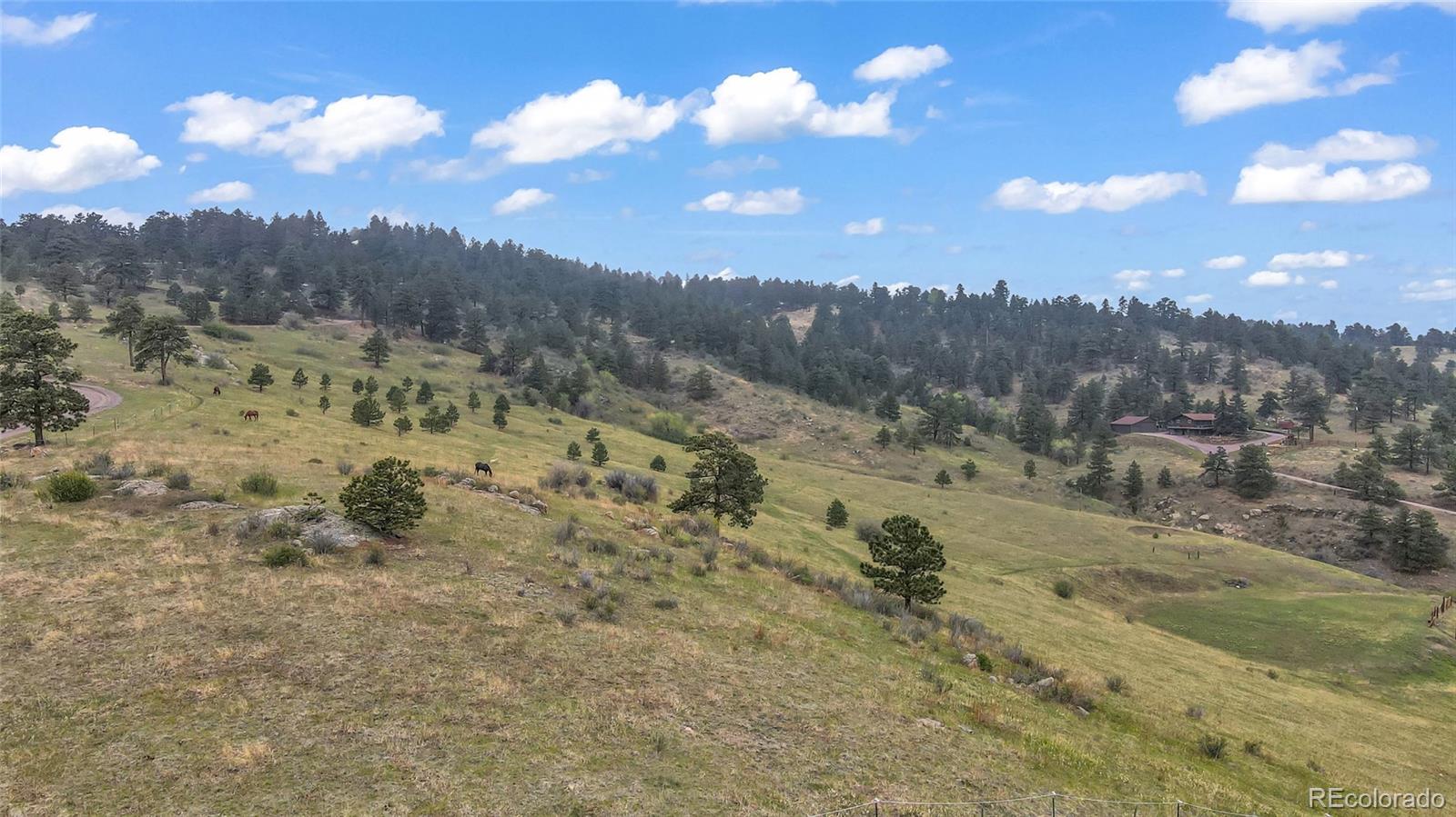 26283 Thea Gulch Road Golden CO 80403