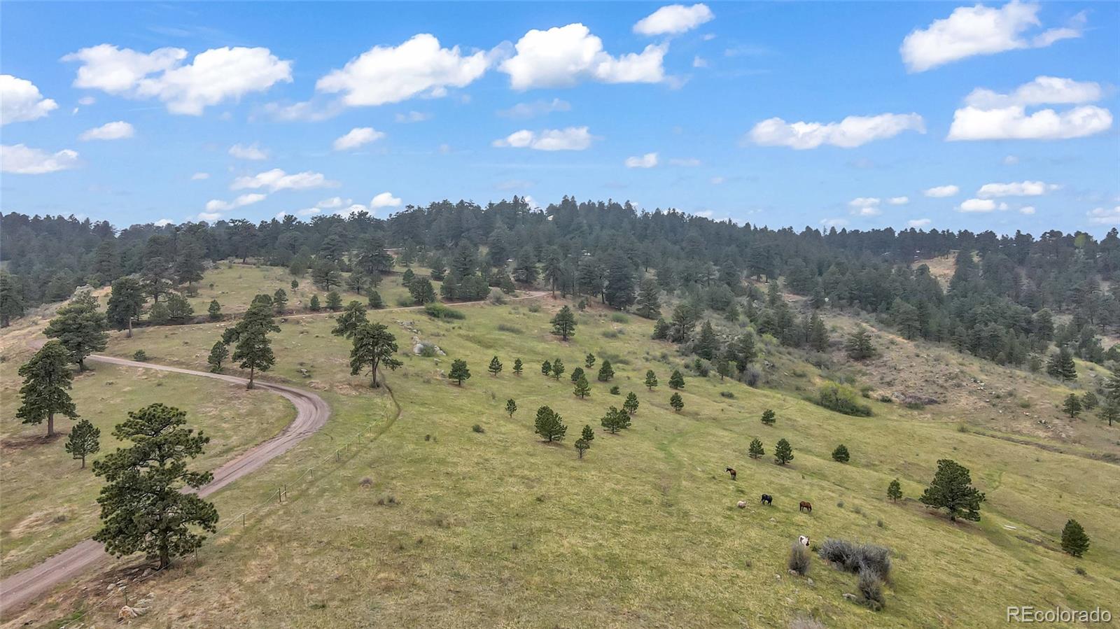 26283 Thea Gulch Road Golden CO 80403