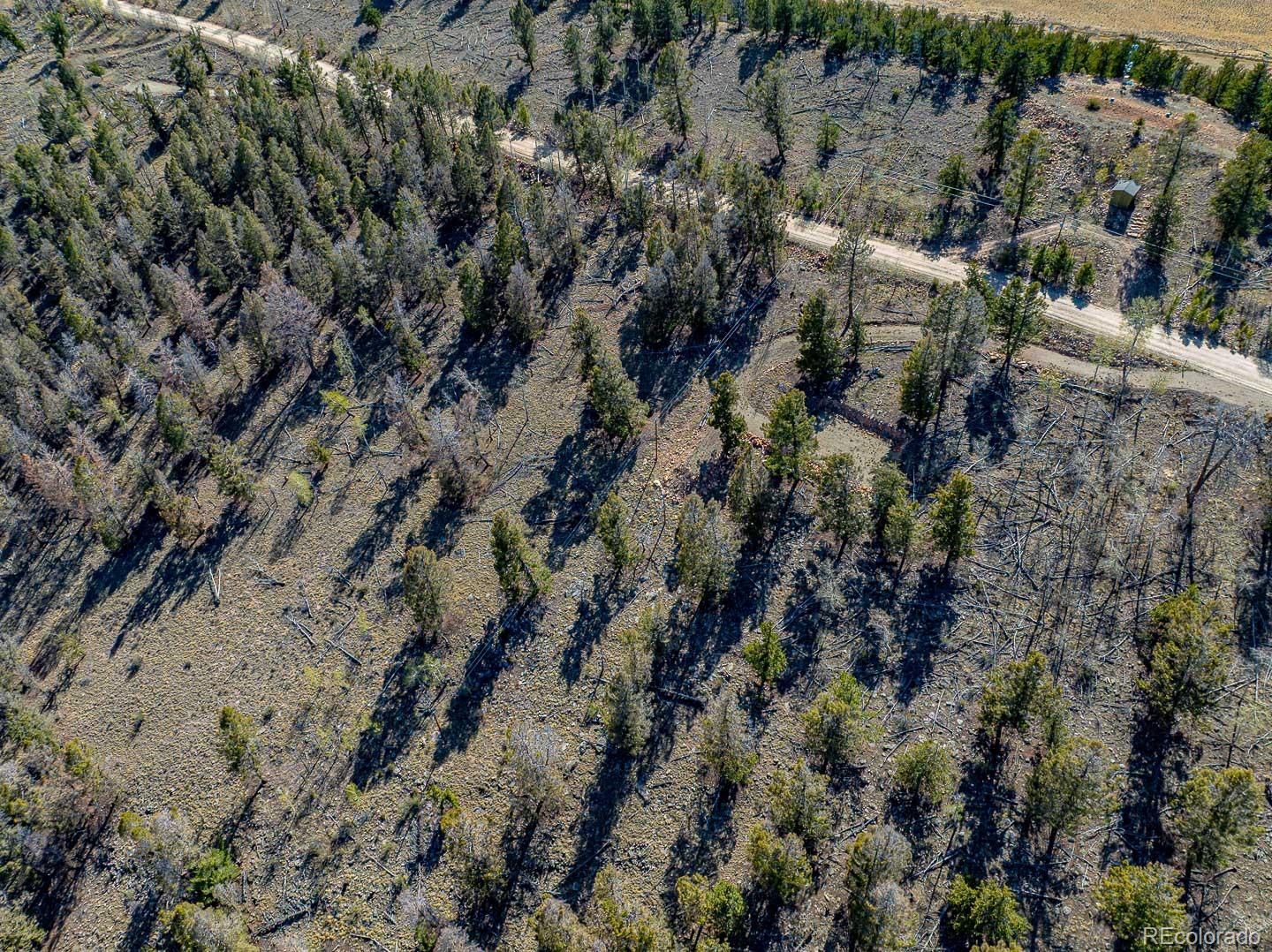 5302 Middle Fork Vista Fairplay CO 80440