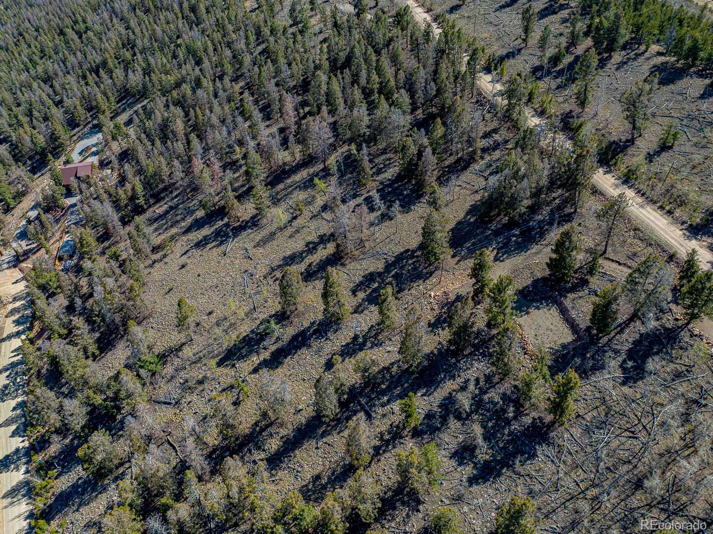 5302 Middle Fork Vista Fairplay CO 80440
