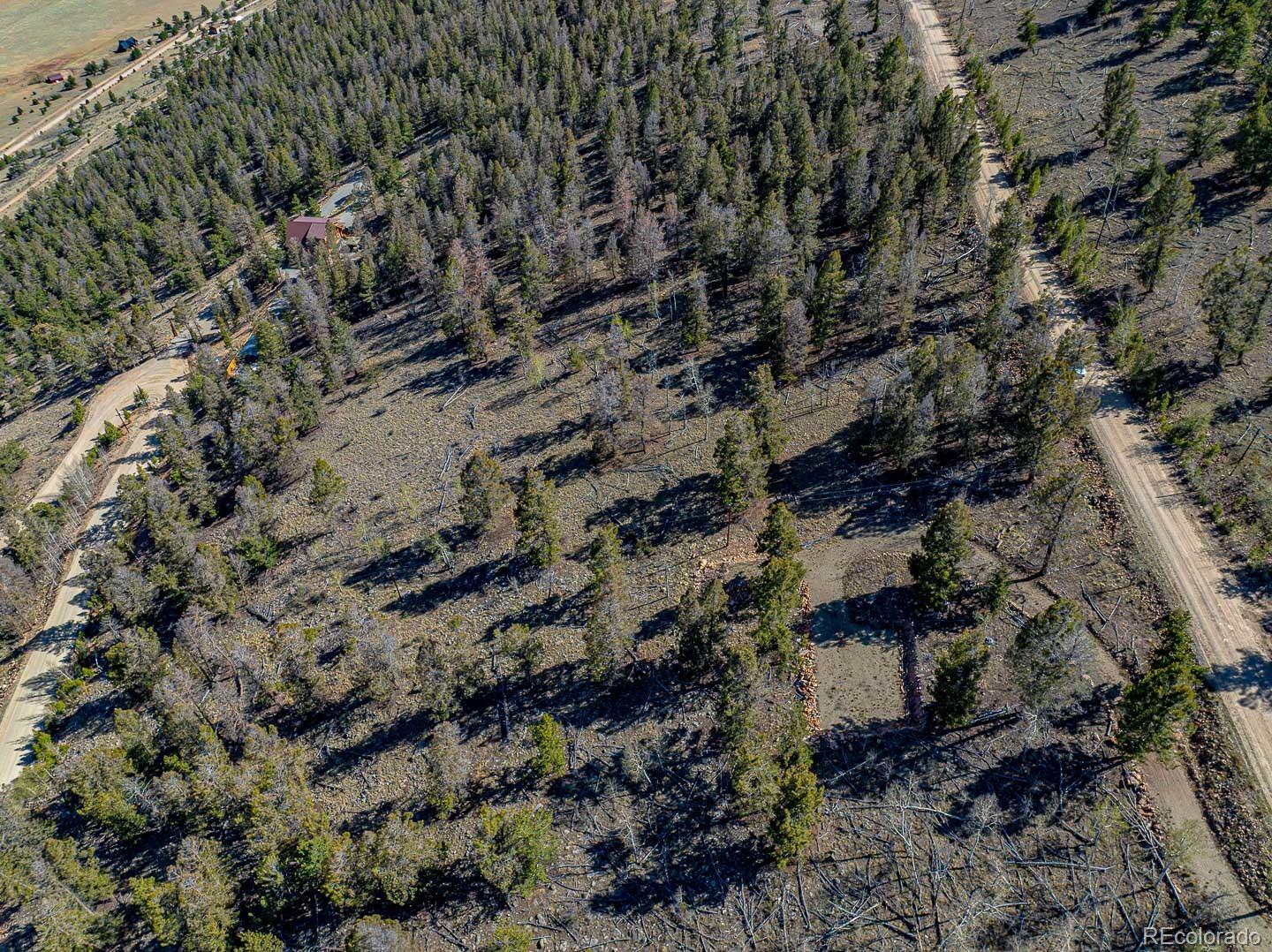 5302 Middle Fork Vista Fairplay CO 80440
