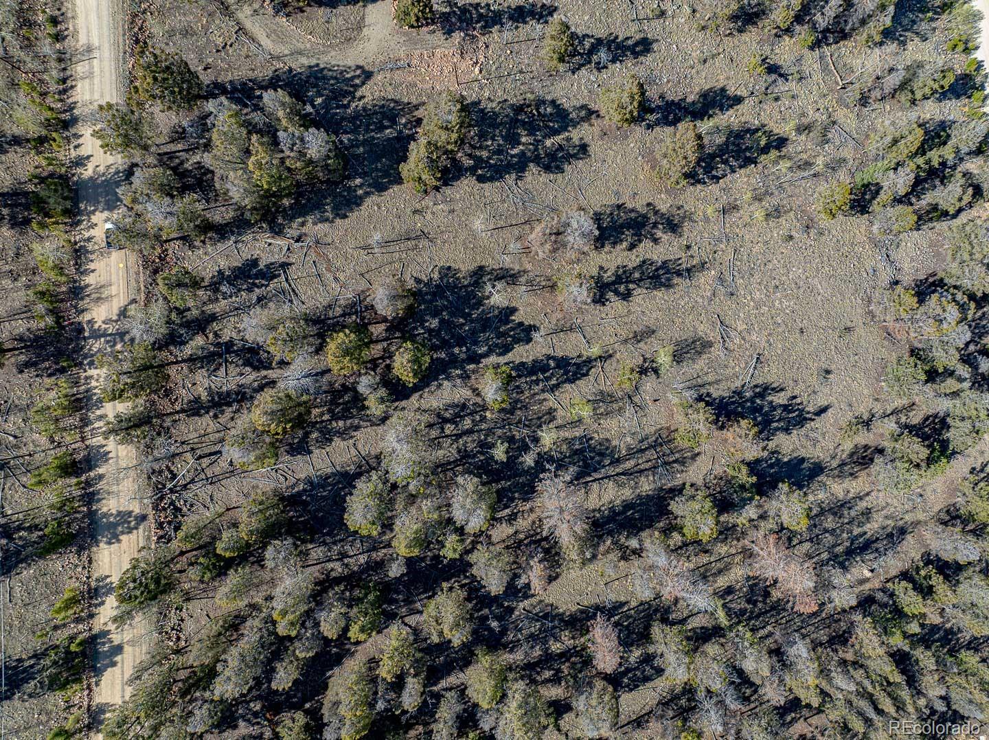 5302 Middle Fork Vista Fairplay CO 80440