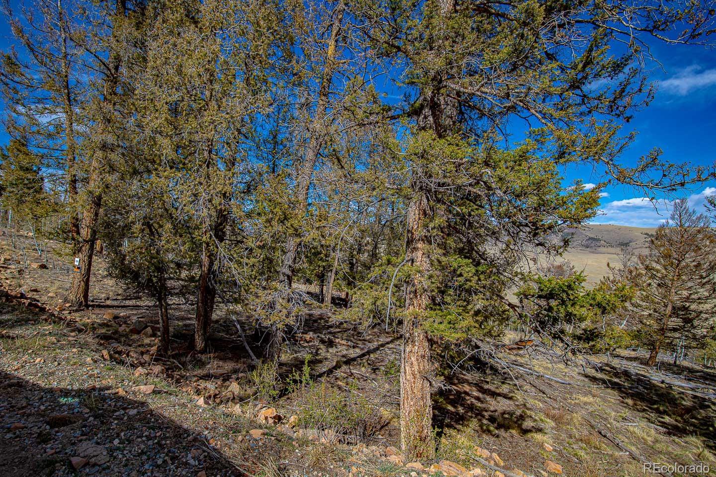 5302 Middle Fork Vista Fairplay CO 80440