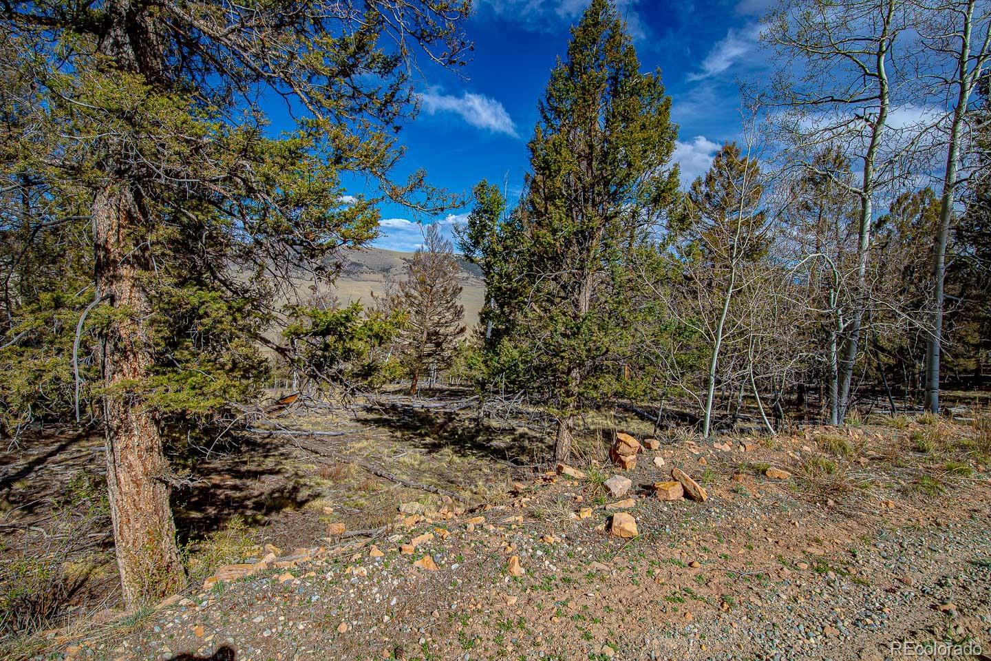 5302 Middle Fork Vista Fairplay CO 80440