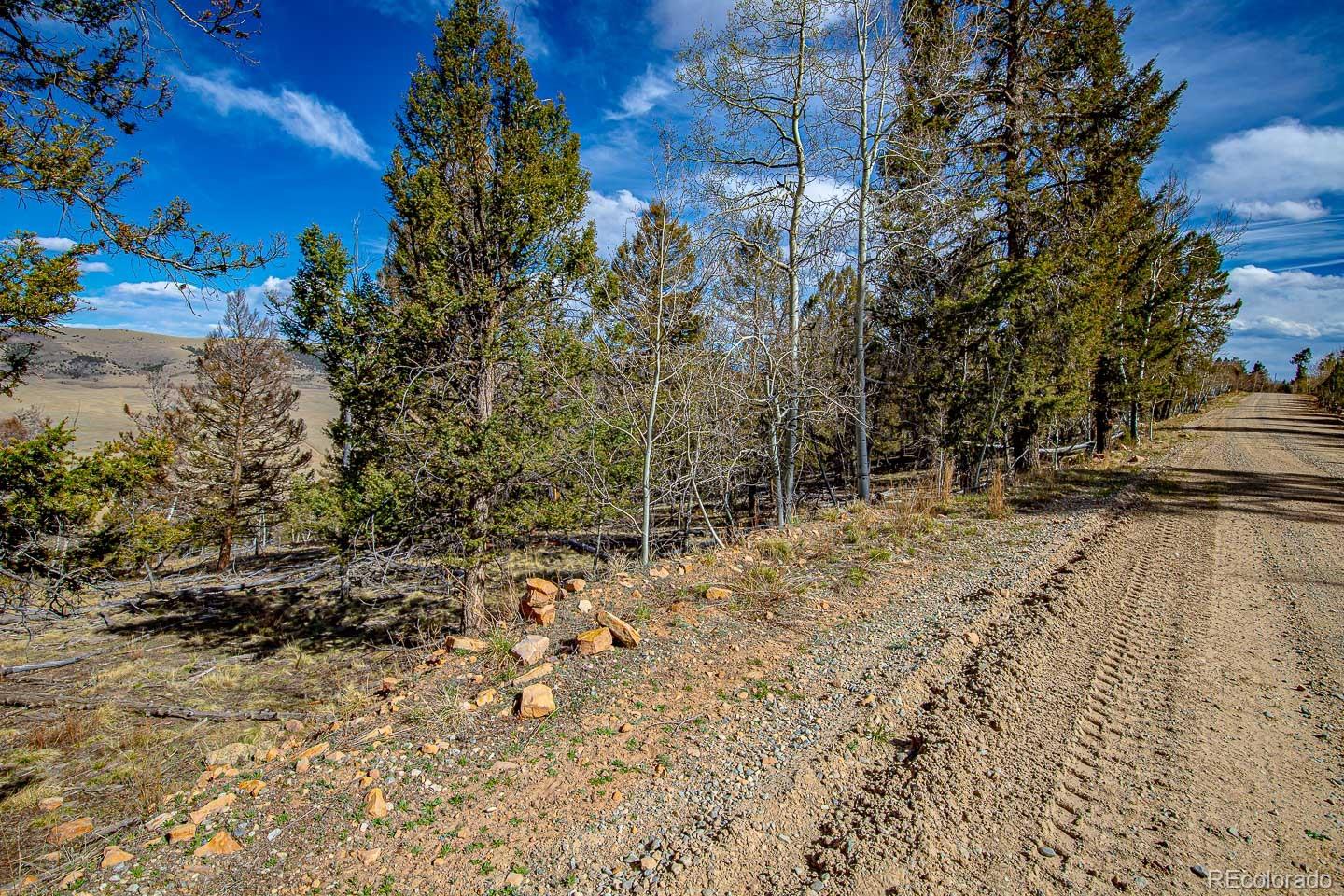 5302 Middle Fork Vista Fairplay CO 80440
