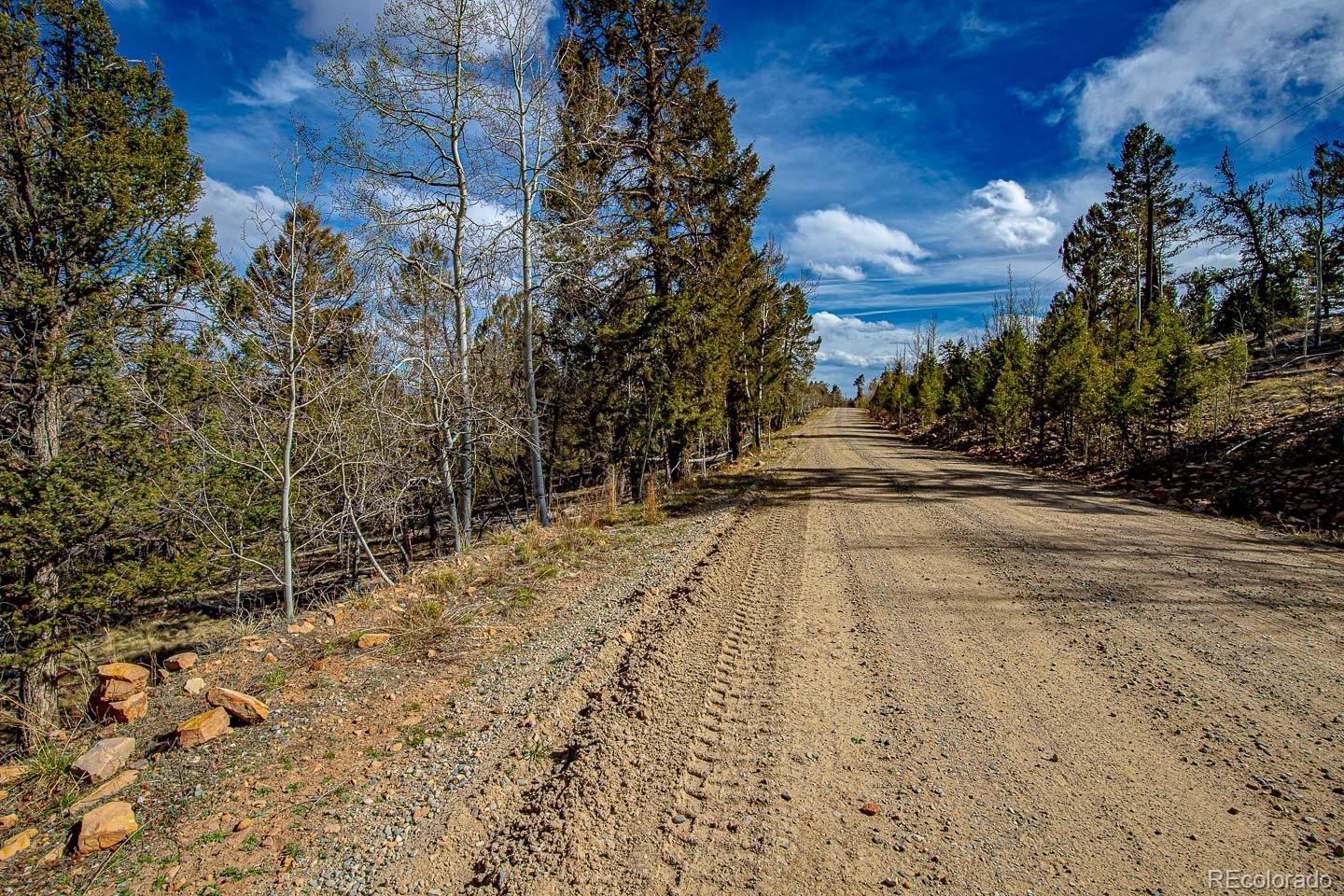 5302 Middle Fork Vista Fairplay CO 80440