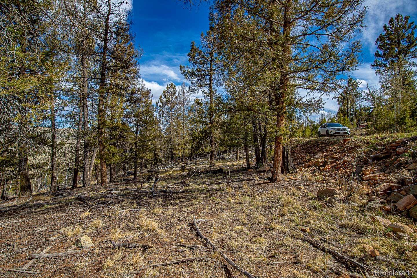 5302 Middle Fork Vista Fairplay CO 80440