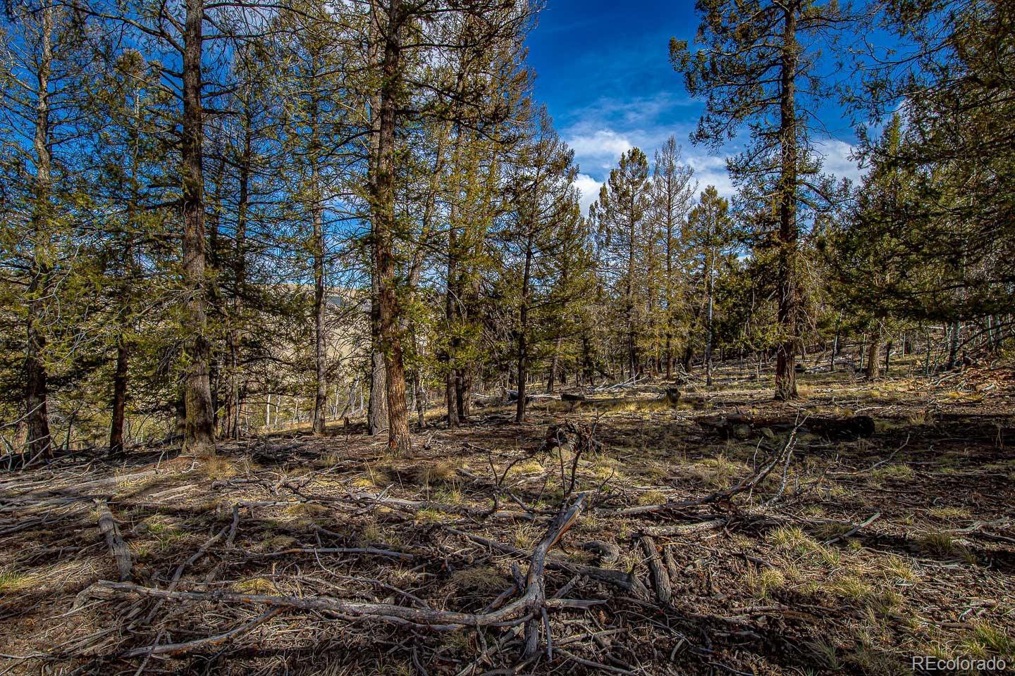 5302 Middle Fork Vista Fairplay CO 80440