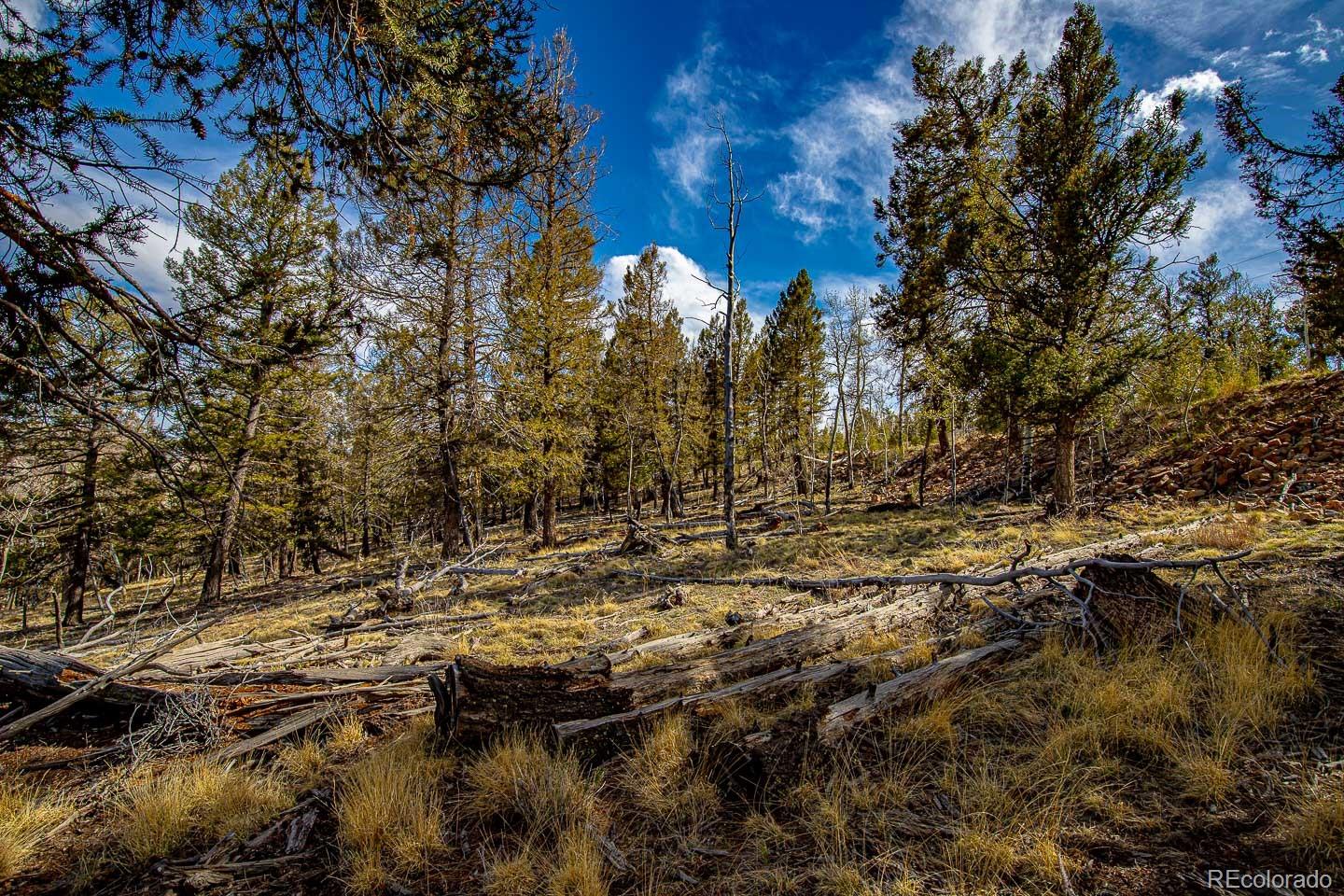 5302 Middle Fork Vista Fairplay CO 80440