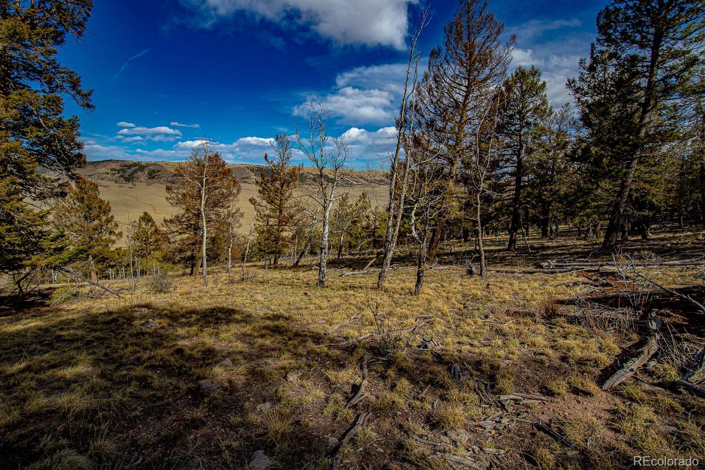 5302 Middle Fork Vista Fairplay CO 80440