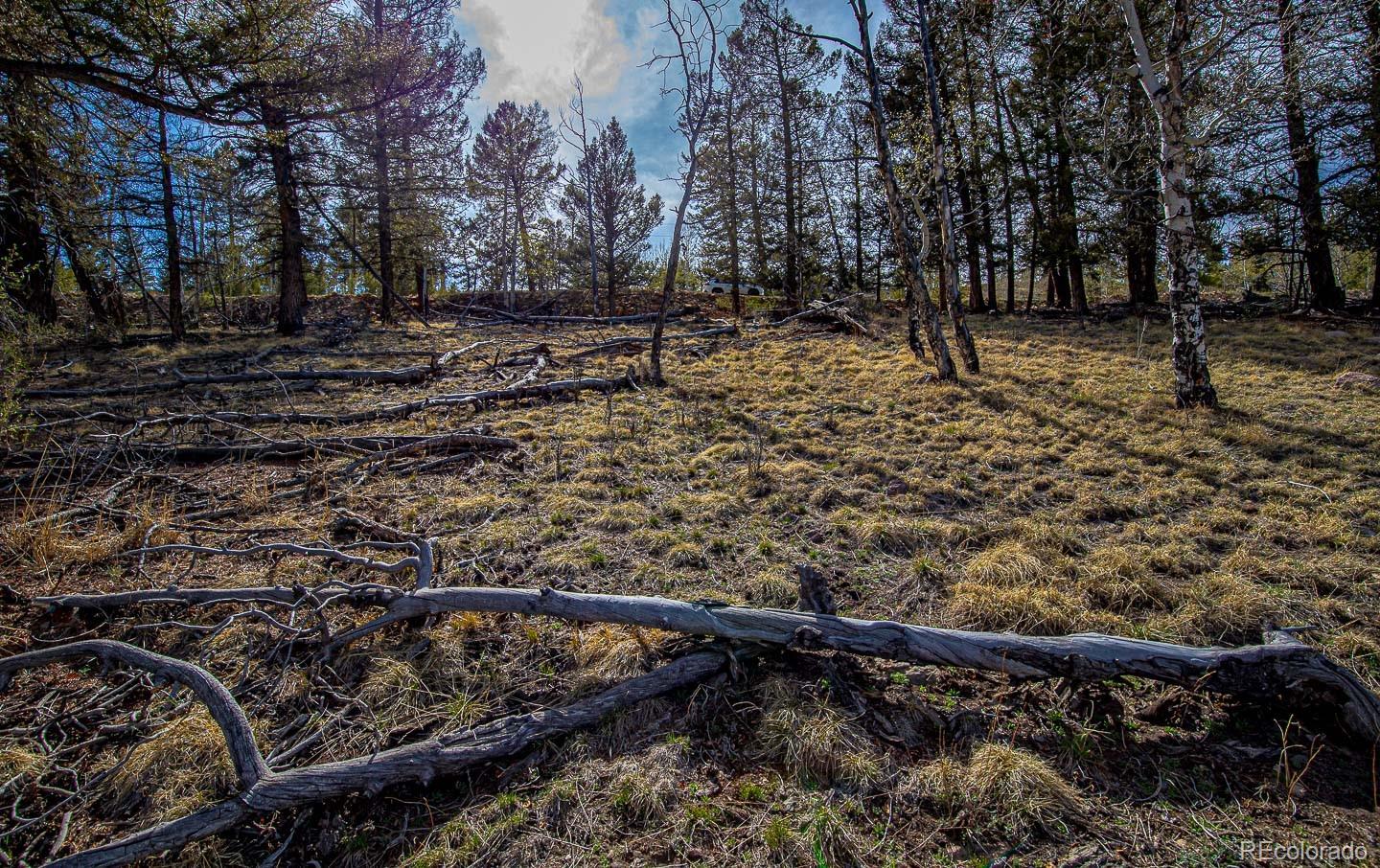 5302 Middle Fork Vista Fairplay CO 80440