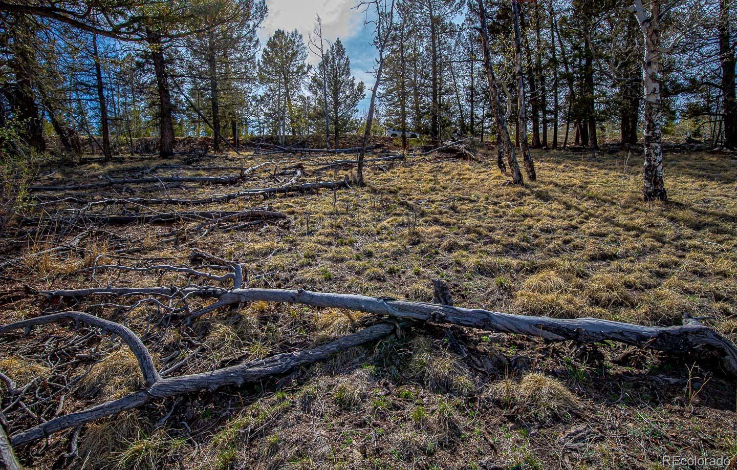 5302 Middle Fork Vista Fairplay CO 80440