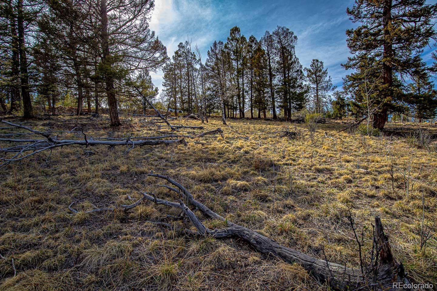 5302 Middle Fork Vista Fairplay CO 80440