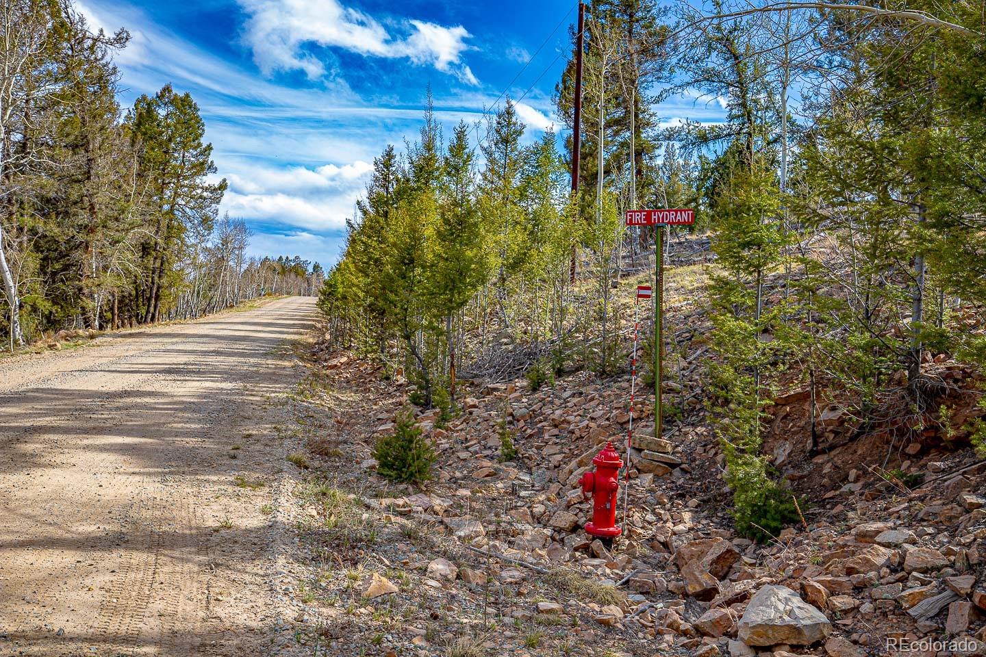 5302 Middle Fork Vista Fairplay CO 80440