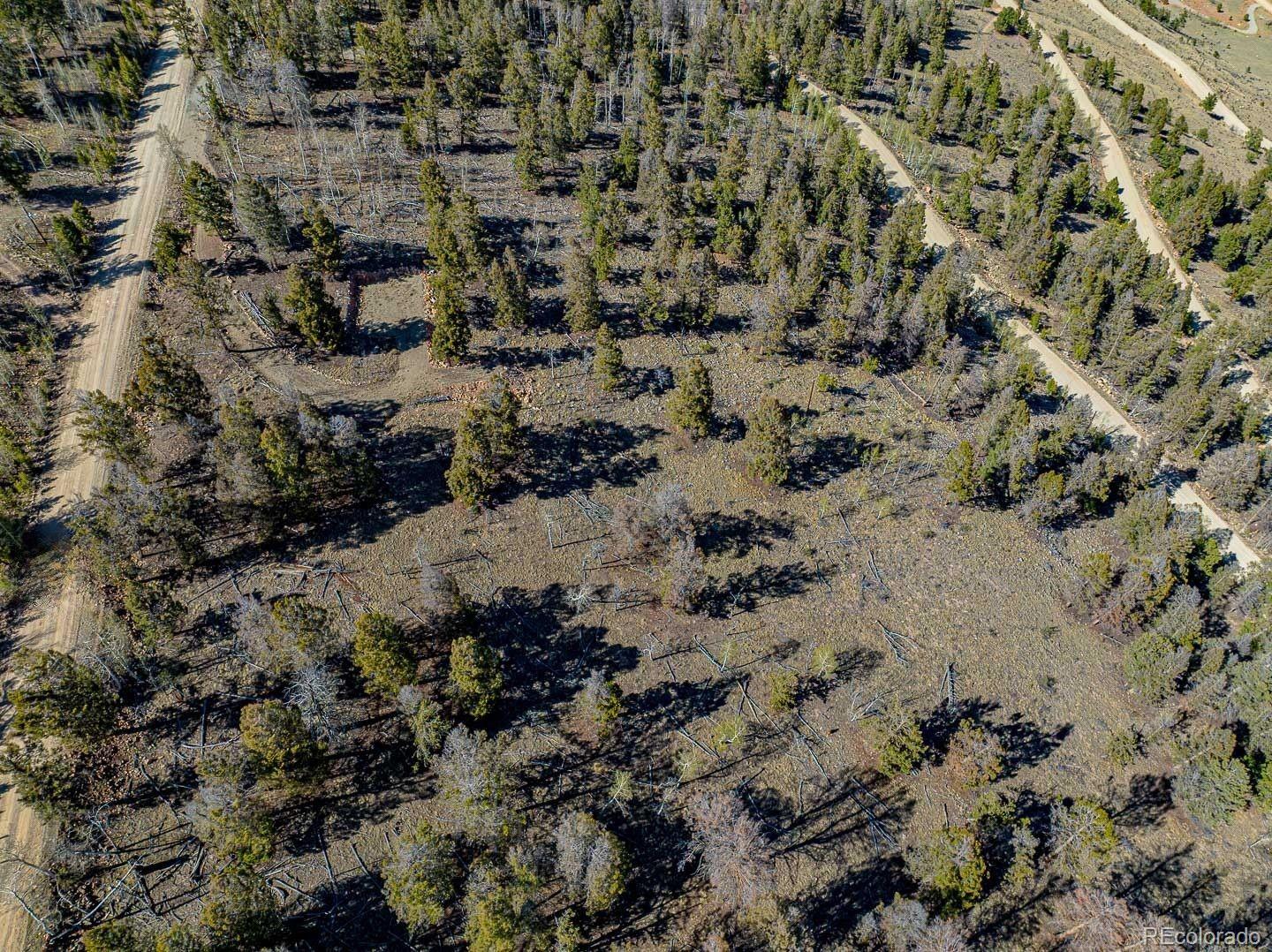 5302 Middle Fork Vista Fairplay CO 80440