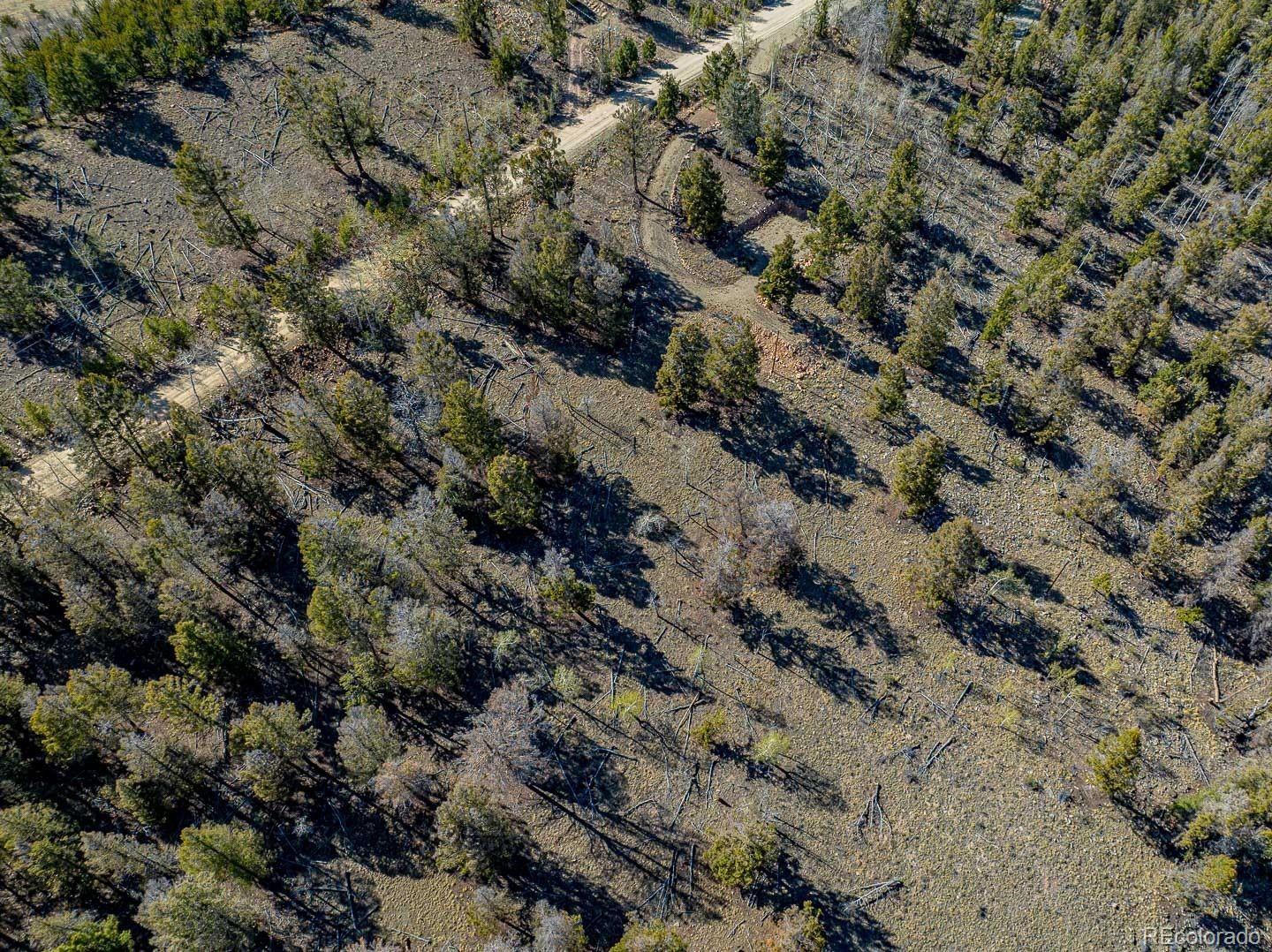 5302 Middle Fork Vista Fairplay CO 80440