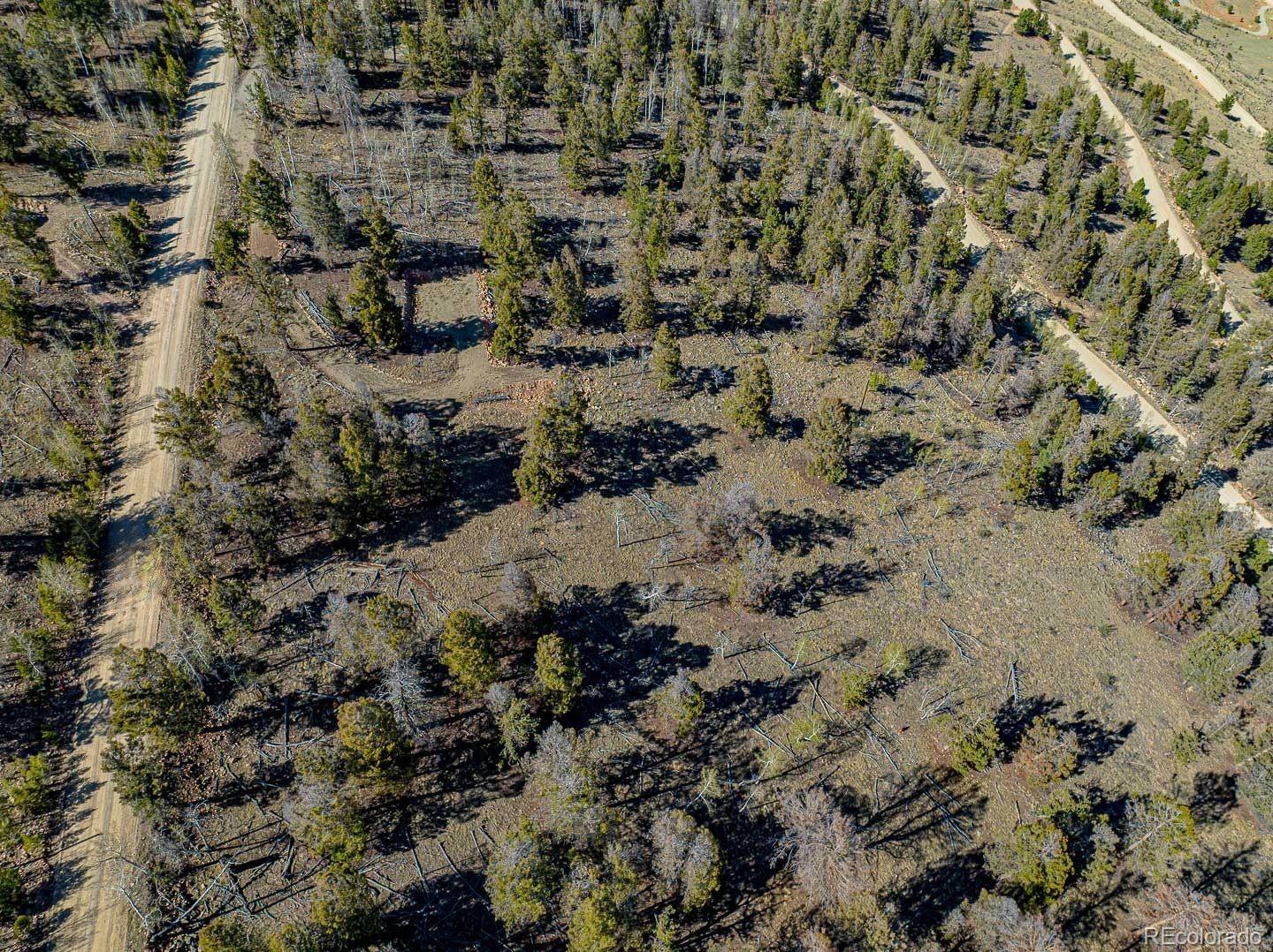 5302 Middle Fork Vista Fairplay CO 80440