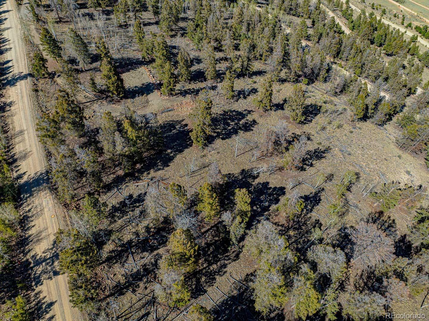 5302 Middle Fork Vista Fairplay CO 80440