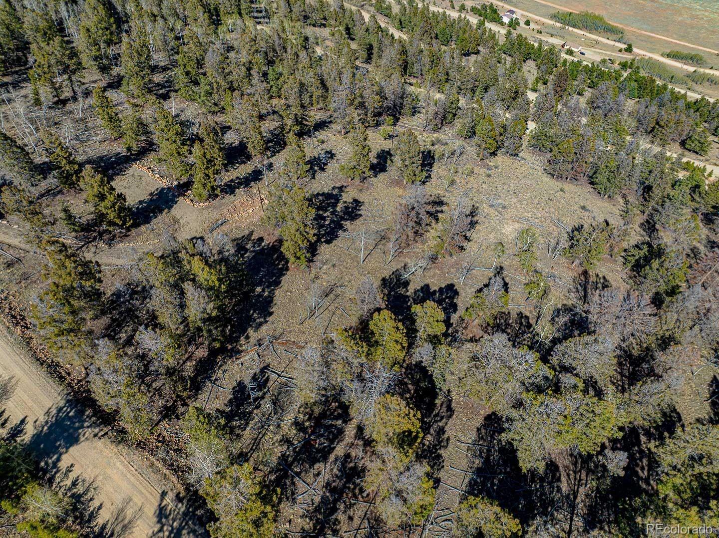 5302 Middle Fork Vista Fairplay CO 80440