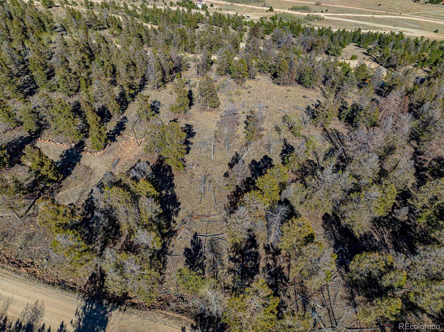 5302 Middle Fork Vista Fairplay CO 80440