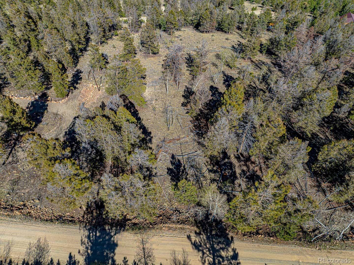 5302 Middle Fork Vista Fairplay CO 80440